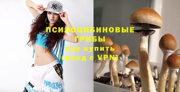 синтетический гашиш Нефтекумск