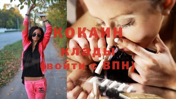 PSILOCYBIN Навашино